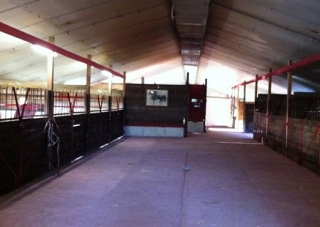  Establo de los propietarios 